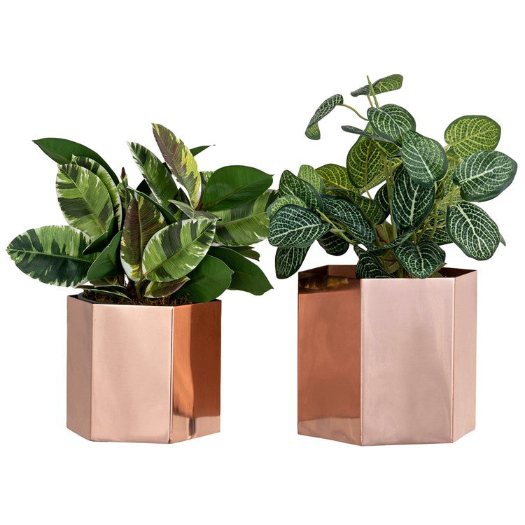 Handcrafted Metallic Shiny Copper Tone Metal Indoor Plant Vase Pot with Hexagon Shape, Handmade in India-MyGift