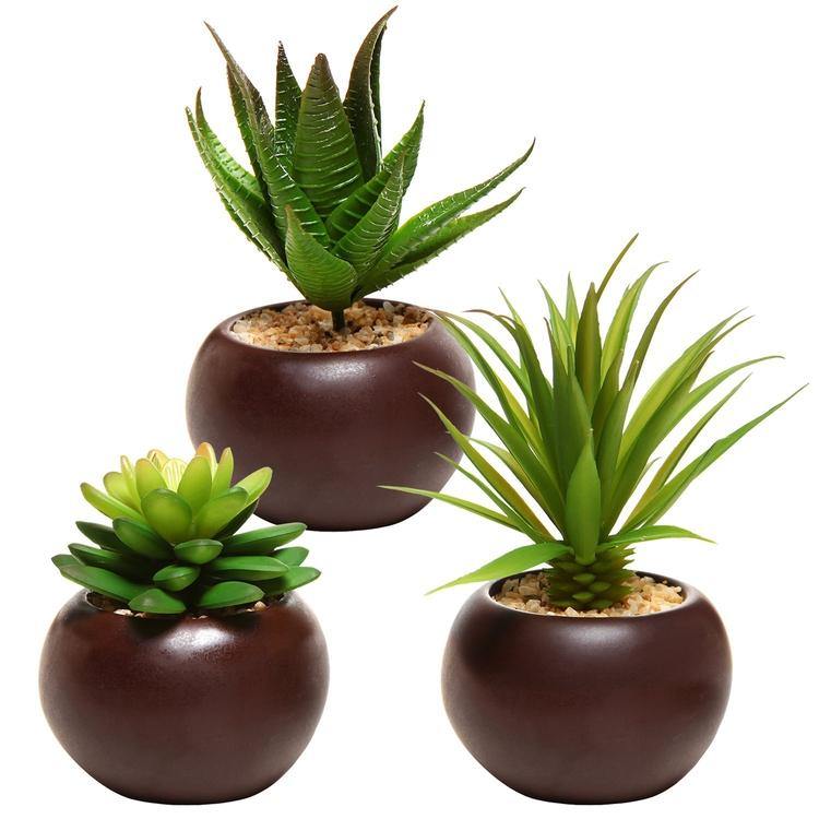 Artificial Mini Succulent Plants in Brown Planter, Set of 3 - Mygiftss