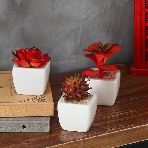 Miniature Red Artificial Succulent in Ceramic Pots, Set of 3 - Mygiftss