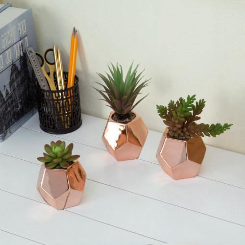 Artificial Succulents in Rose Gold Ceramic Planters, Set of 3 - Mygiftss