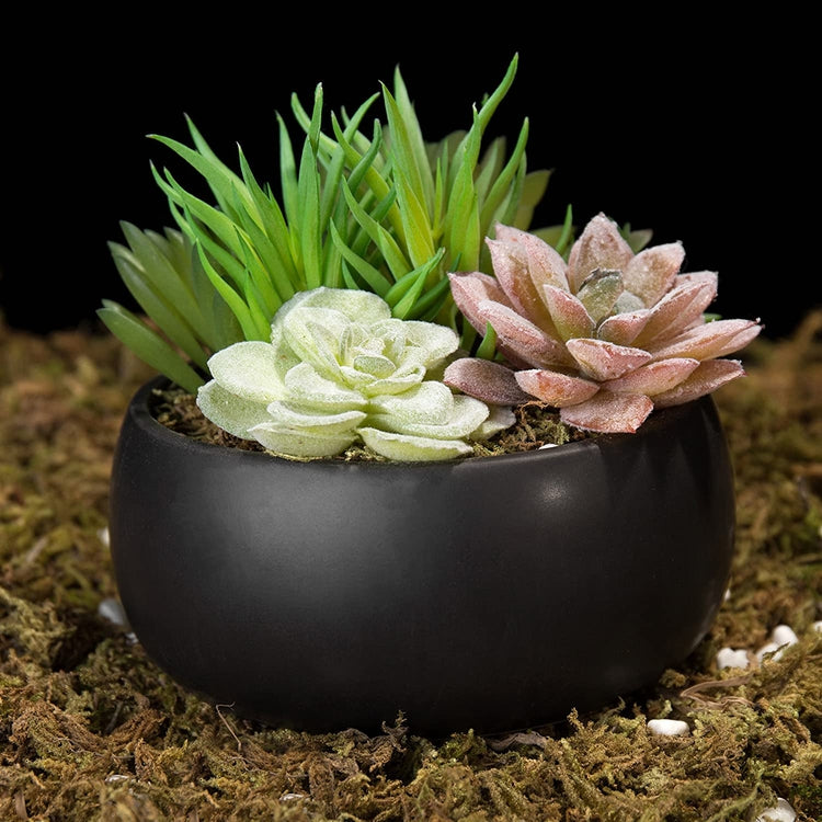 Mini Artificial Succulent Arrangement in Black Ceramic Planter Bowl-MyGift