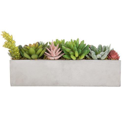 Faux Succulent Plants in Gray Cement Pot - Mygiftss