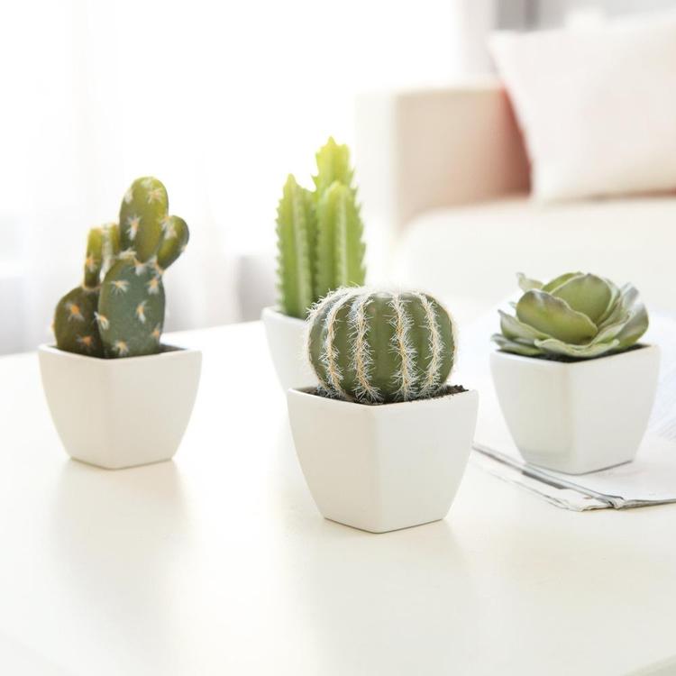 Artificial Mini Succulent & Cactus Plants in White Cube-Shaped Pots, Set of 4 - Mygiftss Enterprise LLC