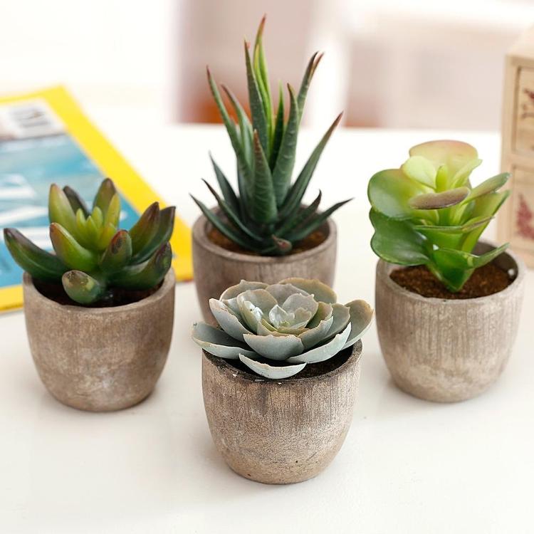 Assorted Decorative Artificial Succulent Plants with Gray Pots, Set of 4 - Mygiftss Enterprise LLC
