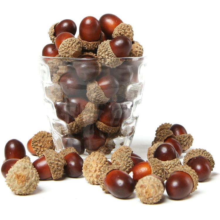 Assorted Artificial Acorn Caps, Autumn Vase Filler Decorations. 100 pieces