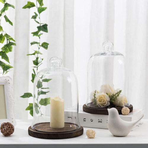 Clear Glass Cloche Display with Brown Wood Base, Set of 2 - Mygiftss