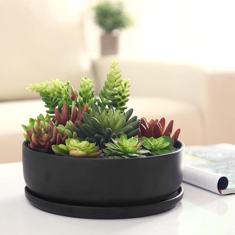 Modern Round Black Ceramic Succulent Planter with Saucer - Mygiftss