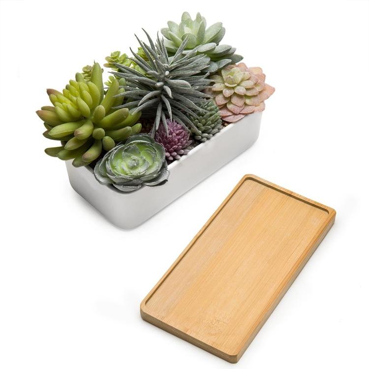 Potted Artificial Succulents in Ceramic Planter - Mygiftss Enterprise LLC