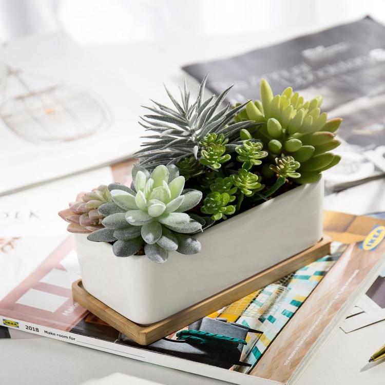 Potted Artificial Succulents in Ceramic Planter - Mygiftss Enterprise LLC