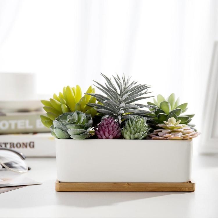 Potted Artificial Succulents in Ceramic Planter - Mygiftss Enterprise LLC