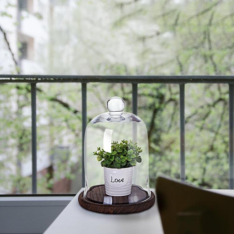 Clear Glass Jar / Cloche Dome Display Centerpiece with Brown Wood Base - Mygiftss Enterprise LLC