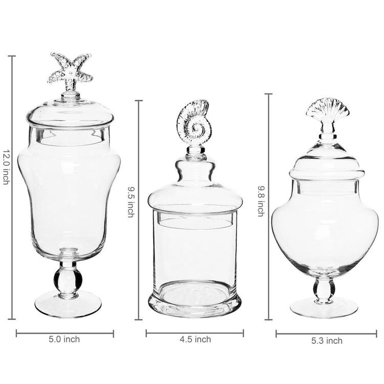Seashell Handle Clear Glass Apothecary Jars / Food Storage Canisters, Set of 3 - Mygiftss Enterprise LLC