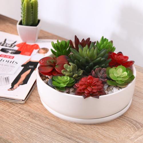 White Ceramic Round Succulent Planter Pot w/ Saucer - Mygiftss