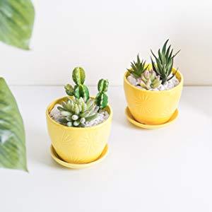 Yellow Sunburst Design Ceramic Flower Planter Pots with Saucers, Set of 2 - Mygiftss Enterprise LLC