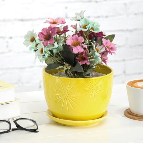 Yellow Sunburst Ceramic Pot with Saucer - Mygiftss